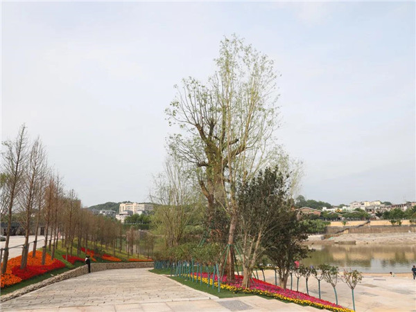 城投集團(tuán)投資建設(shè)的“中渡口碼頭”景觀廣場獲廣大群眾好評(píng)