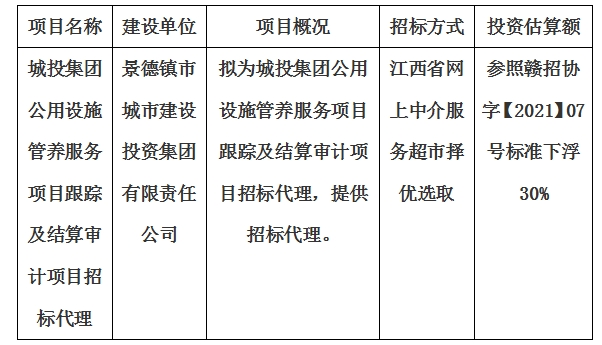 城投集團(tuán)公用設(shè)施管養(yǎng)服務(wù)項(xiàng)目跟蹤及結(jié)算審計(jì)項(xiàng)目招標(biāo)代理計(jì)劃公告