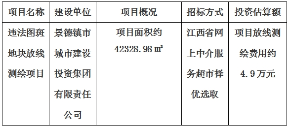 違法圖斑地塊放線測繪項目計劃公告
