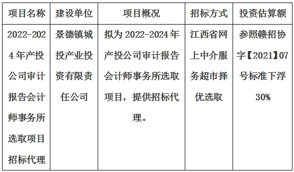 2022-2024年產(chǎn)投公司審計報告會計師事務(wù)所選取項目招標代理計劃公告