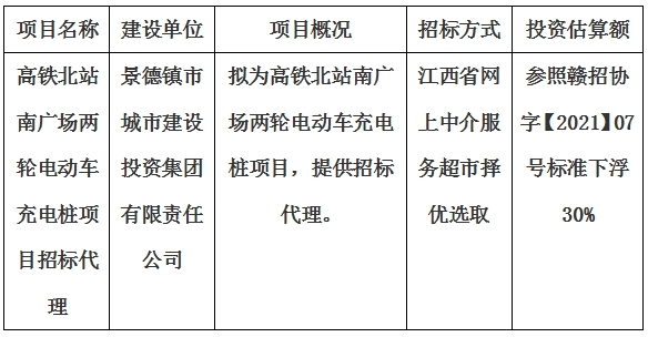 高鐵北站南廣場(chǎng)兩輪電動(dòng)車充電樁項(xiàng)目招標(biāo)代理計(jì)劃公告