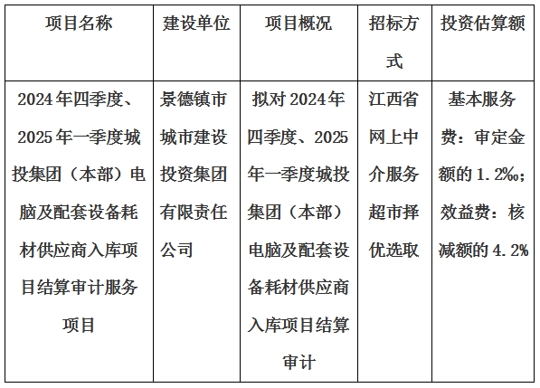 2024年四季度、2025年一季度城投集團（本部）電腦及配套設(shè)備耗材供應(yīng)商入庫項目結(jié)算審計服務(wù)項目計劃公告