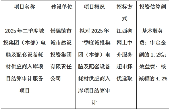 2025年二季度城投集團(本部)電腦及配套設備耗材供應商入庫項目結算審計服務項目計劃公告